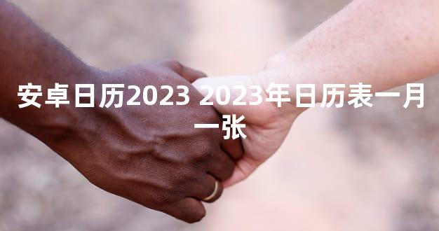 安卓日历2023 2023年日历表一月一张